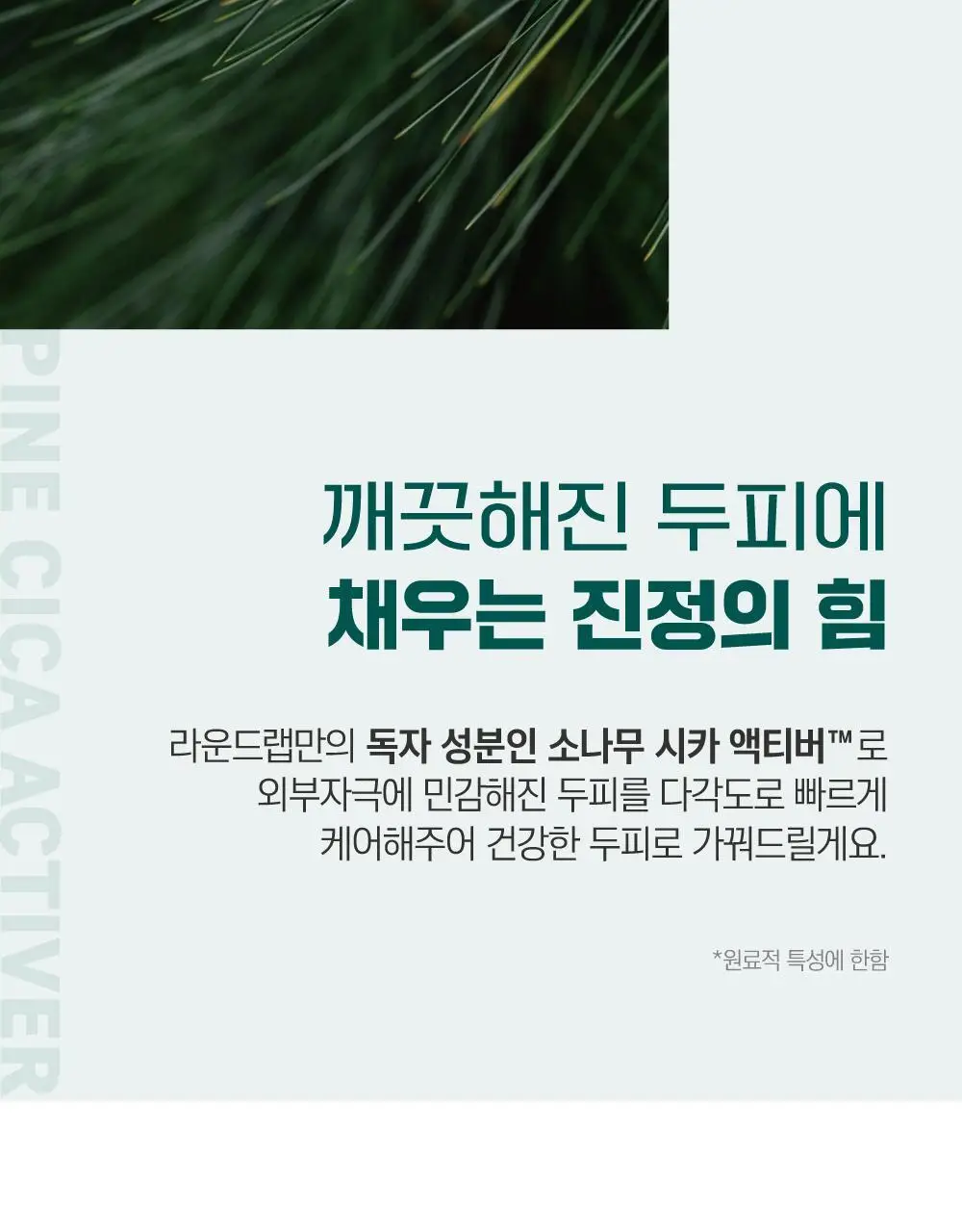 [소취케어] 라운드랩 소나무 진정 시카 두피 토닉 100ml 기획(+샴푸 50ml) 상세페이지 16